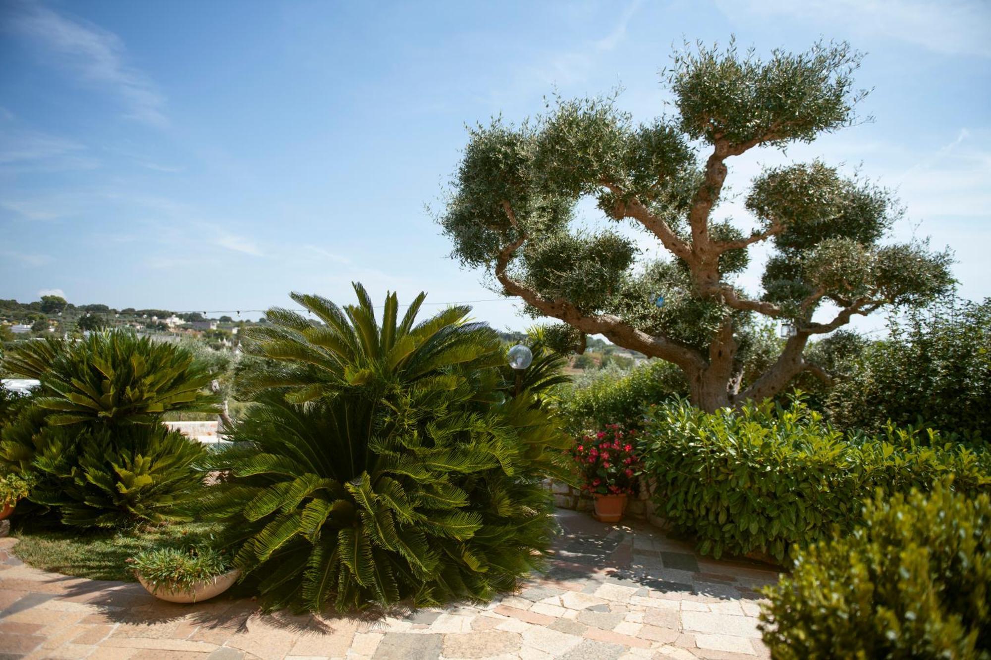 Holiday Home Cosimo لوكوروتوندو المظهر الخارجي الصورة